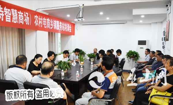 关于重庆农村电商培训现状研究